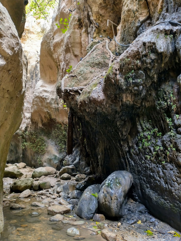 avakas gorge hiking tour paphos